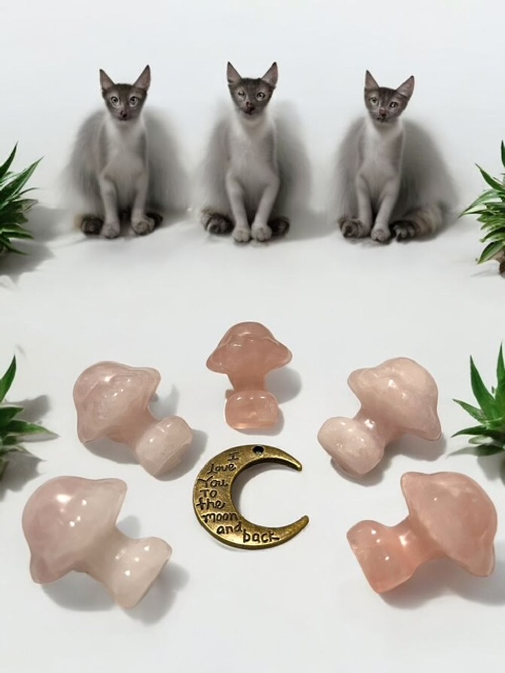 Rose Quartz Mini Mushroom Goddess Carving Crystal